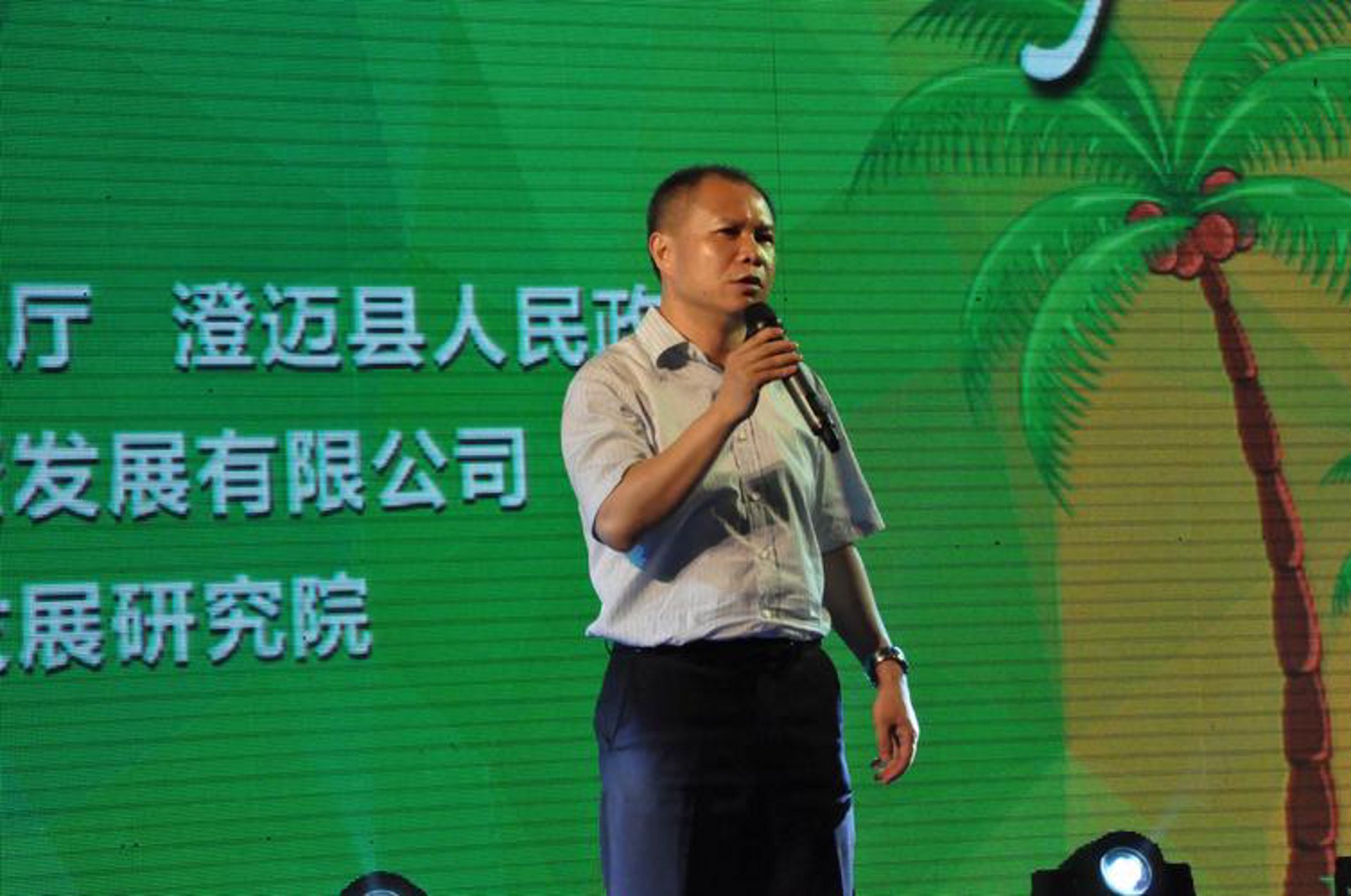丽正文化传媒